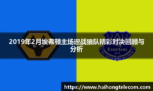 2019年2月埃弗顿主场迎战狼队精彩对决回顾与分析